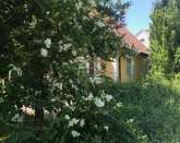 Theas house in Vitaby, Kivik, Simrishamn, sterlen, Scania