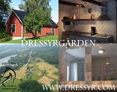 Rent cottage on a beautiful horse farm by the lake of Sjalt