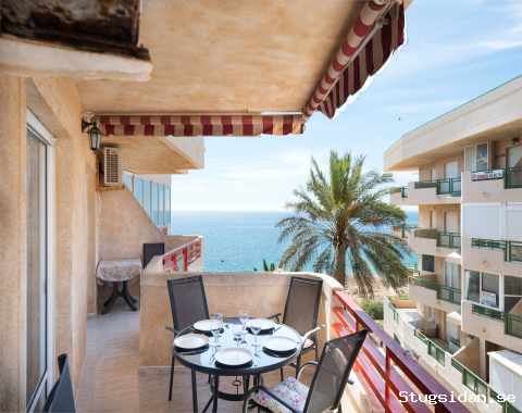 Strandnära (100m), söder, havsutsikt, Mil Palmeras/Alicante, 3 sovrum