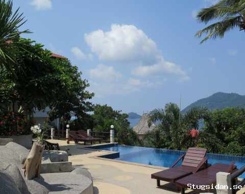 Nybyggda lägenheter/studios med privat infinity pool på ön Koh Tao
