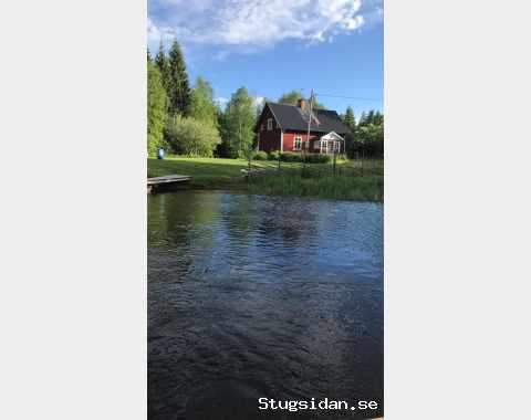 Smultronställe intill badtjärn i Bergslagen