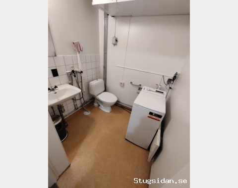 Big house for rent 10 beds