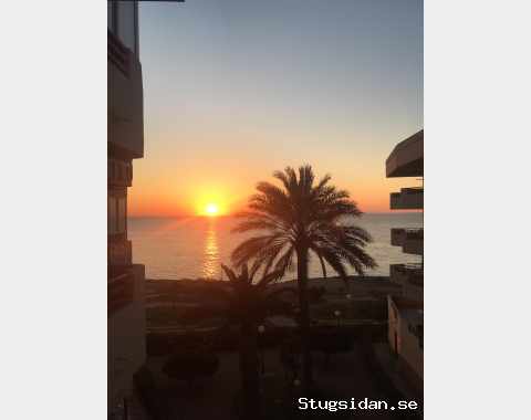 Strandnära (100m), havsutsikt, söder, Mil Palmeras/Alicante, 2-sovrum