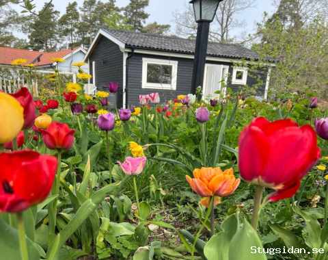 Stuga 1 mil norr om Visby