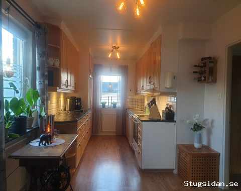 Villa eller rum uthyres