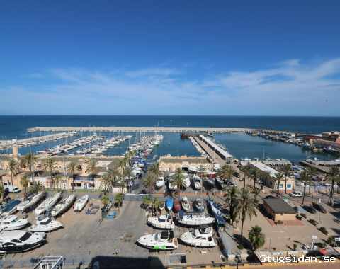 Newly renovated apartment in Las Palmeras Hotel