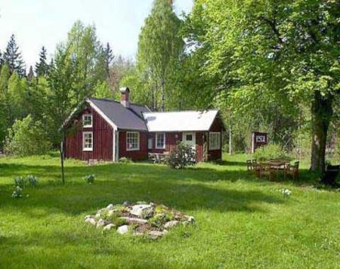 Fågel och svampställe direkt till naturreservat