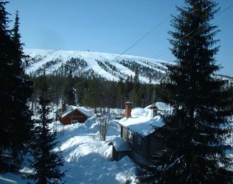 Timrade fjällstugor vid Ö.Tandådalen