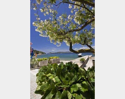 Apartments/rooms for rent on Lopud Island, close to Dubrovnik, Kroatia