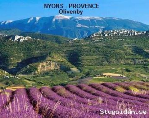 Lägenheter i Provence Nyons og Fayence