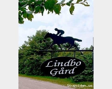 Nice Bed&Breakfast close to the Sea!