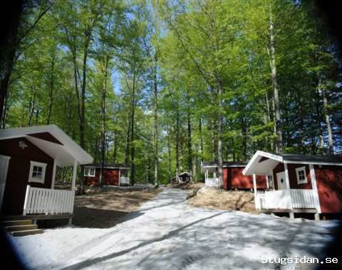 Stay close to nature in Snärjeskogen