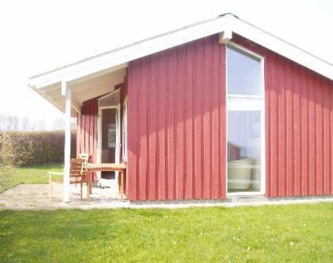 Mommark på Als med havudsigt