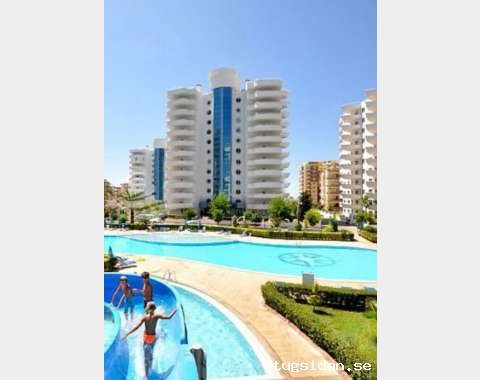 Alayna/Mahmutlar  My Marine