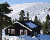 Cottage in Slen - Hgfjllet